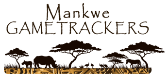 Mankwe